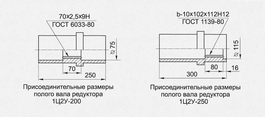 ПРИСОЕДИНИТЕЛЬНЫЕ РАЗМЕРЫ ТИХОХОДНОГО ПОЛОГО ВАЛА, мм<br />